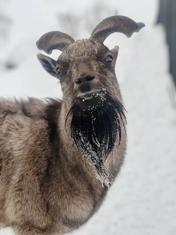 ����������� � ���������� �������� �� ���������������� ��������