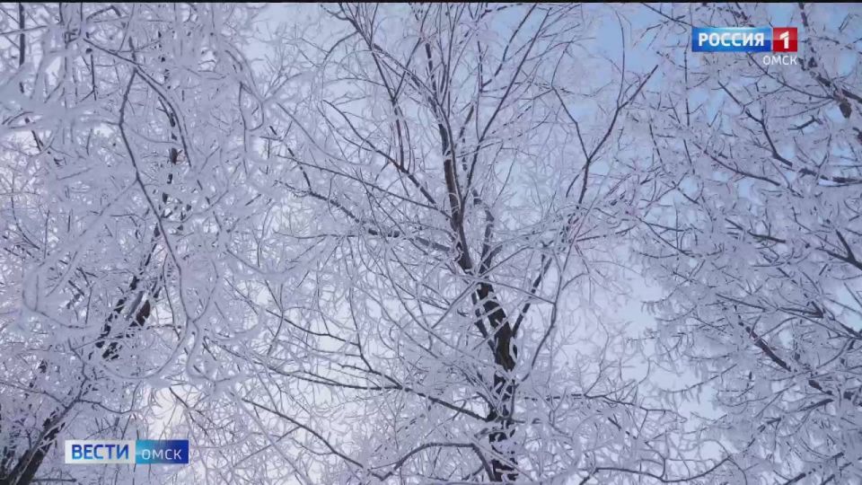 ������ ����, �����!. ����� ������� �� �������� �����, ��� ���������, ���� ����� ������ � ���������