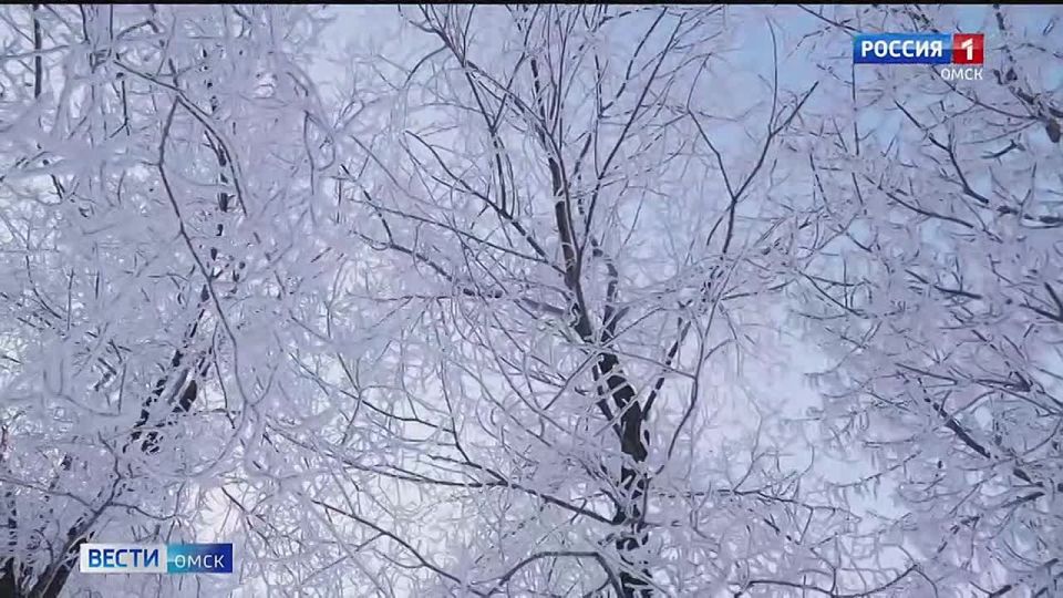 � ������ ������� ������ ����������