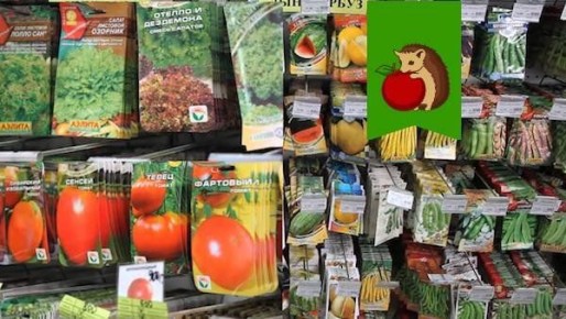 Как выбрать семена: 5 рекомендаций, которые помогут в садоводстве