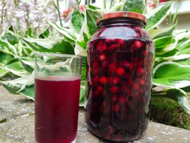 Компот из сладких ягод: сохраняем вкус и витамины на зиму