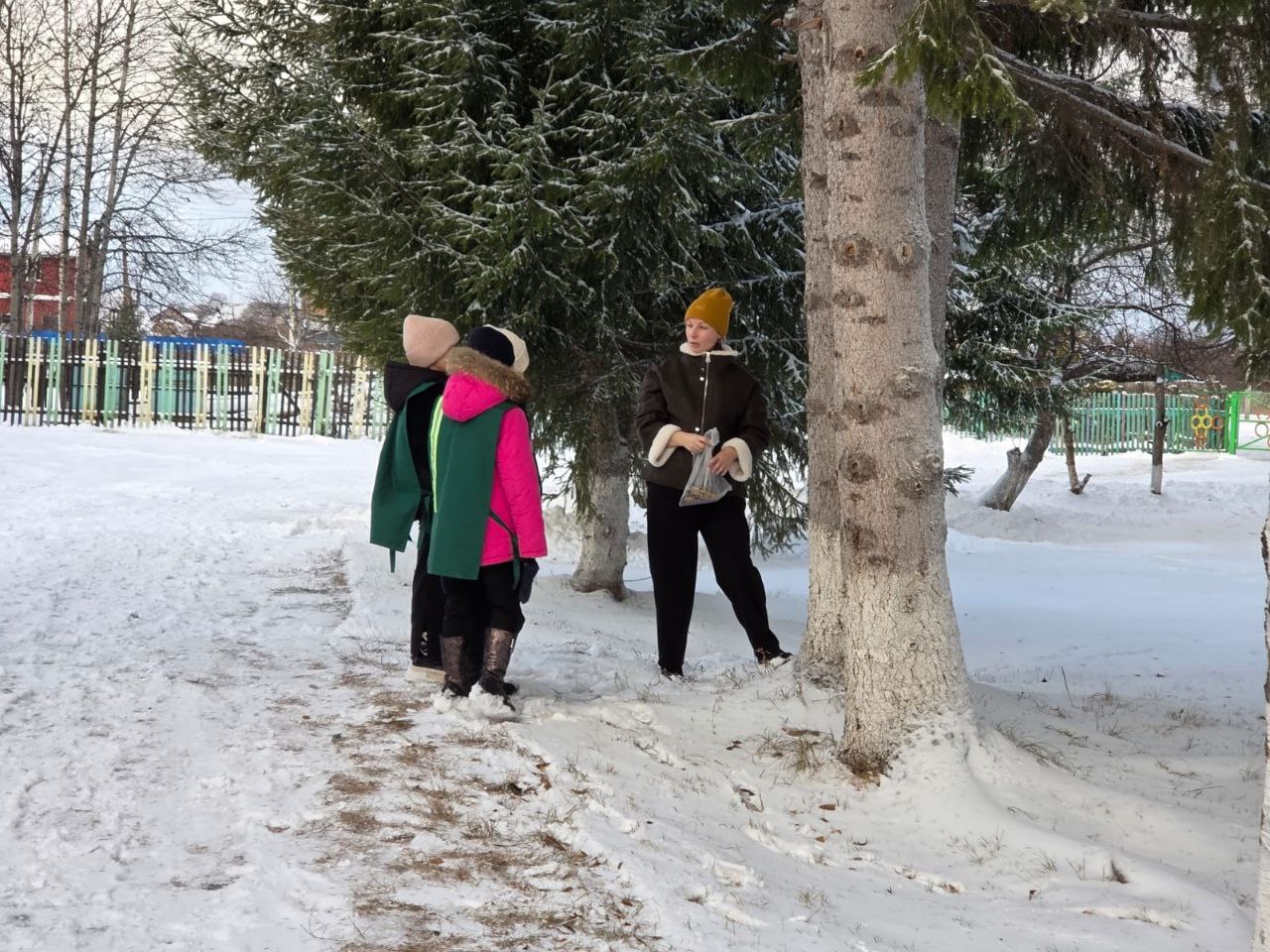 В День снегиря омичам рассказали, как правильно подкармливать птиц В День снегиря омичам рассказали, как правильно подкармливать птиц