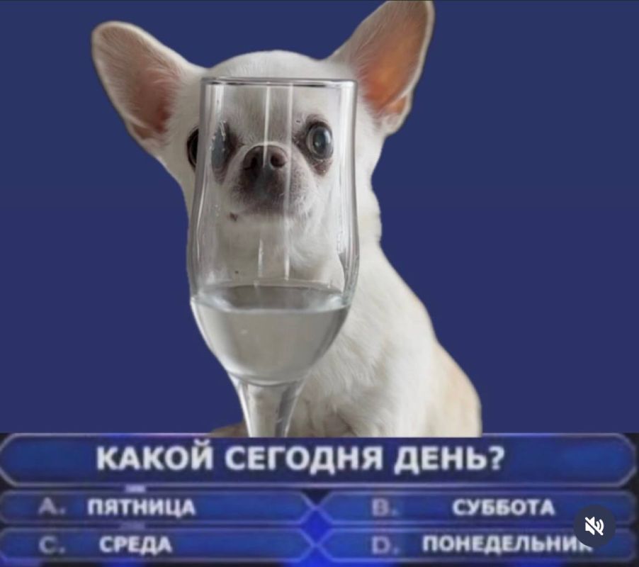 ��� �������� ���������������� �������� � ������ ������� �����������������