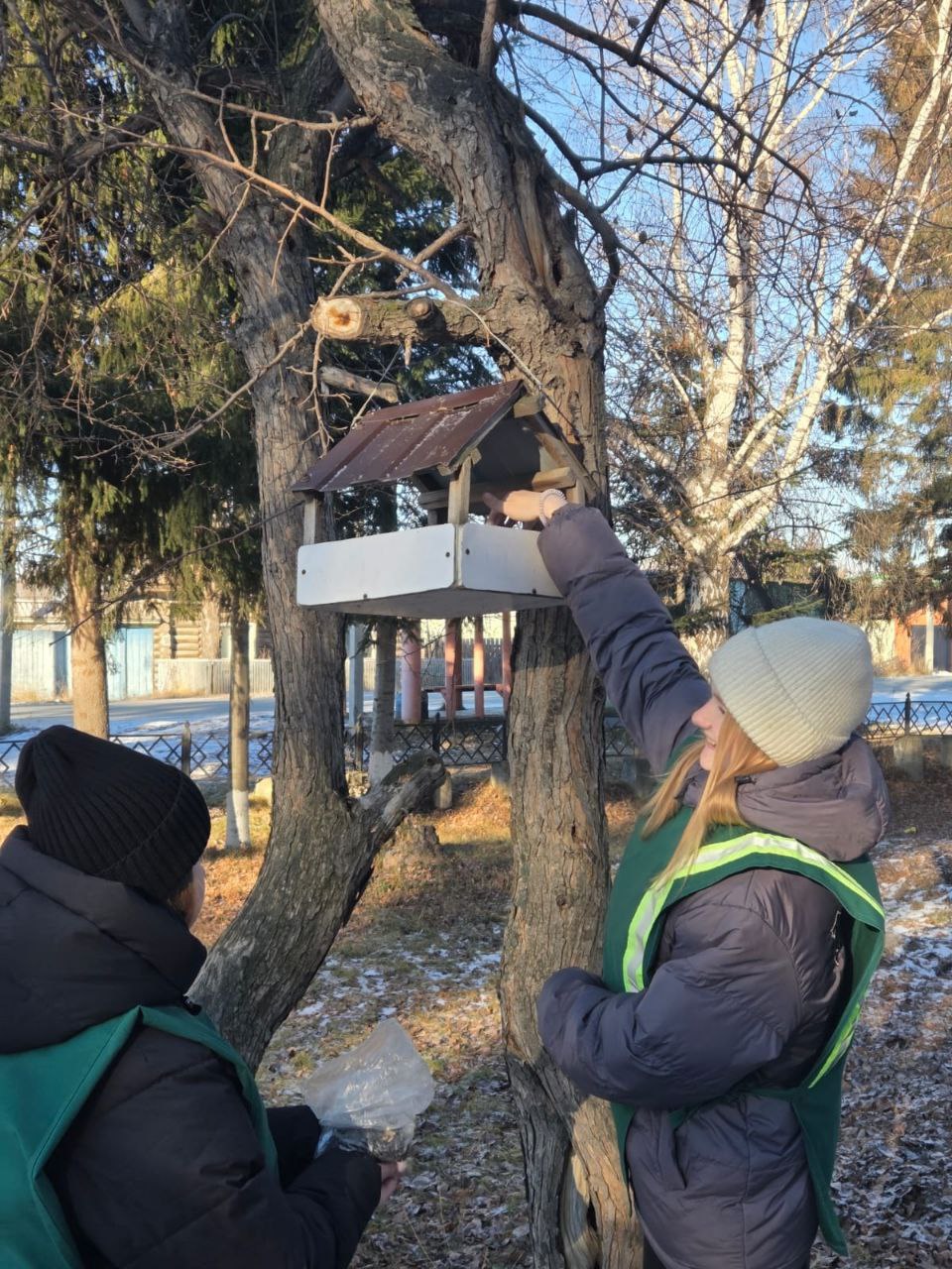 В День снегиря омичам рассказали, как правильно подкармливать птиц В День снегиря омичам рассказали, как правильно подкармливать птиц