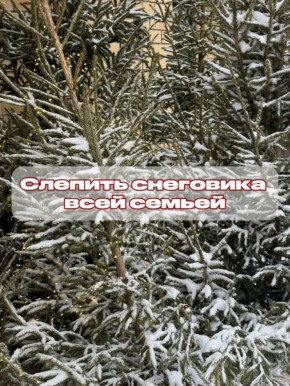 Доброе утро, омичи!. Новогодние праздники медленно подходят к концу