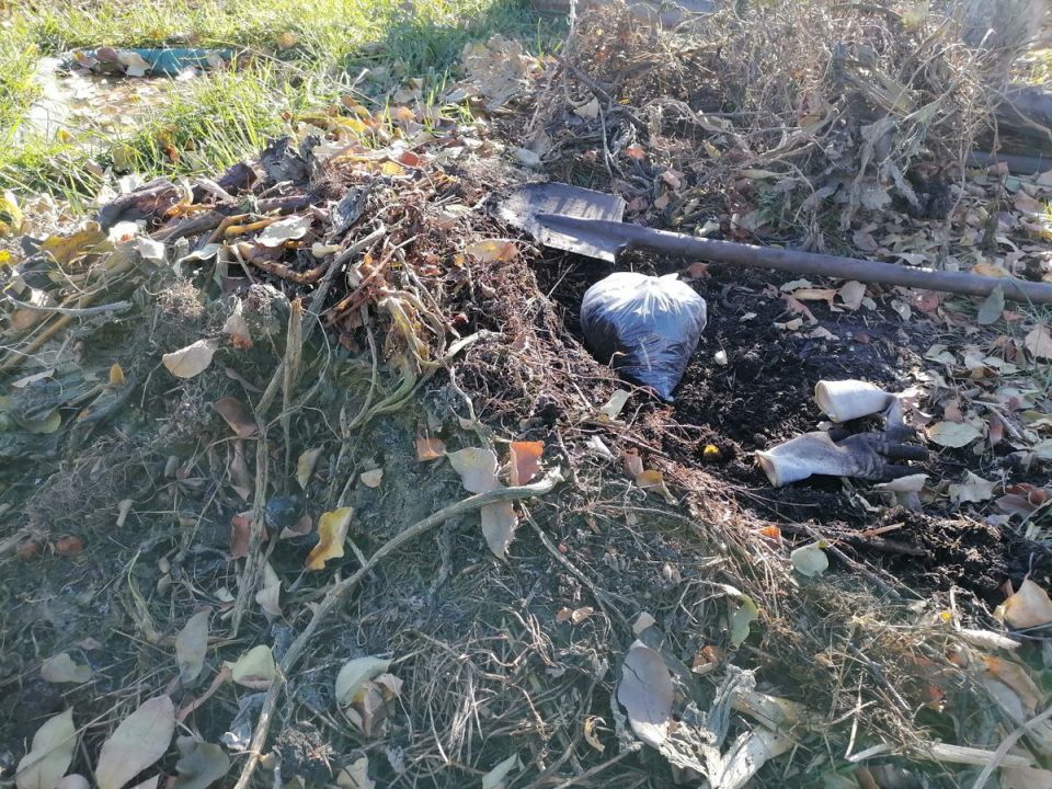 �������� ���������� ������ ��� �������: ������ ���� � ������������