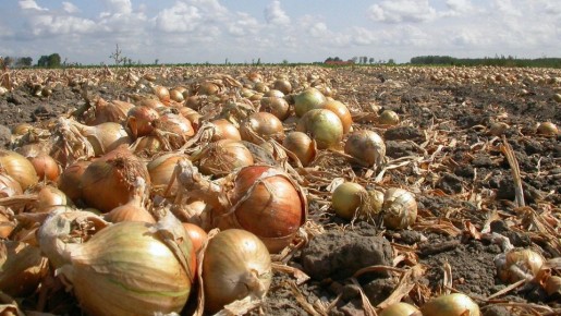 �������� ��� � ������� ����� ������ ����, ����� ����� ���� ������� �� ��������