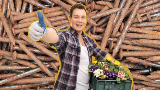 �������� ��������: � ���� ���������� �� ������ ������� ���������� ���� ��������