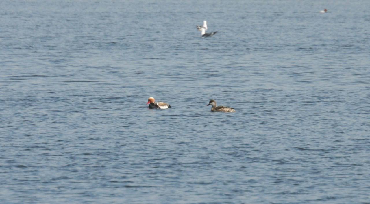 Доброе утро, омичи!. Сегодня отмечается День заповедников и национальных парков
