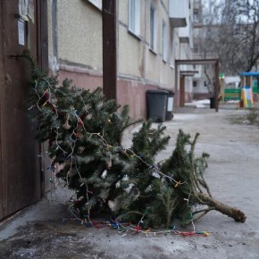 ����������, ��� ��������� ����������� � ����������� ������