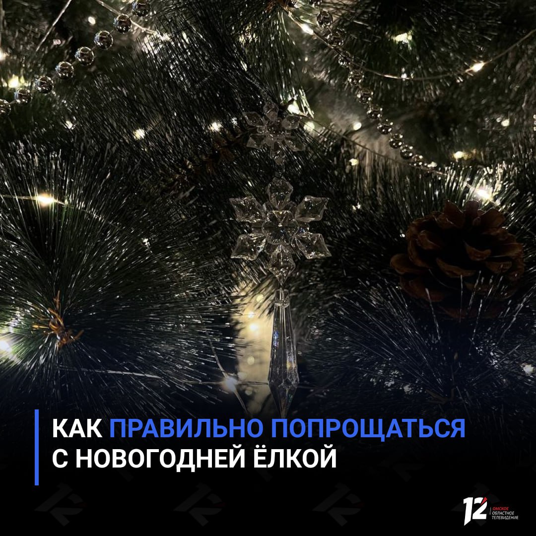 Как правильно попрощаться с новогодней ёлкой
