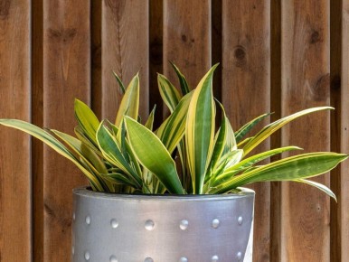 ��������� ��������: ������ ��������� � ������ � ������ �������