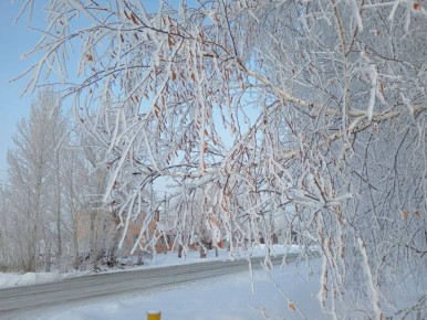 ������ ���� ��������� �������� ������