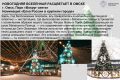2 омские елки: в селе Седельниково и парке «Зеленый остров» – вышли в федеральный этап всероссийского конкурса «Елки России»