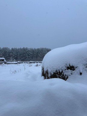 � ������ ������� ��������� ���������� ������