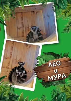 � ��������������� �������� ����������, ��� ������� ����� �������