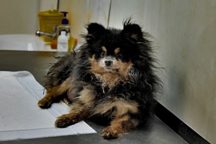 � ����� ���� ��� ��� ������ ������, ��������� ������