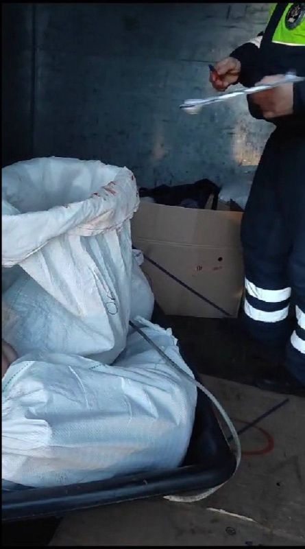 В Омской области вынесен приговор по факту незаконной охоты на 8 косуль