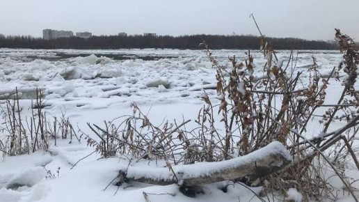 В омских водоемах нашли ядовитые соединения