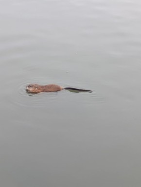 ������� ���� ������ ��� �������� �� ����� ����� �������!