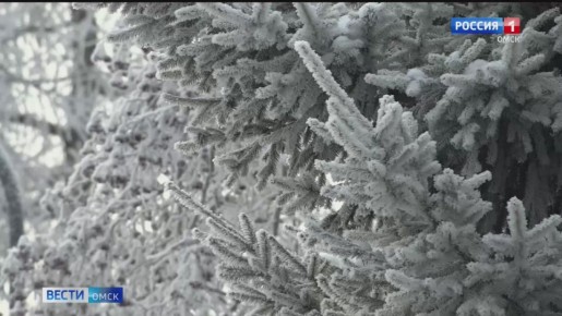 �� ���� ���� ��������� ������: ����� ���������� ����� �������� ����?