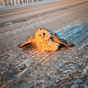 �� ������ ��������: ������ ���� ����� � ����� � ������