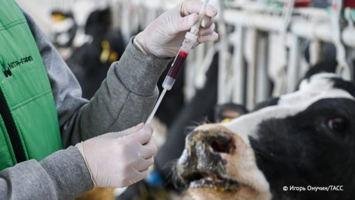 �������� �� ��������� ������ � ������� ���������� ������� ������ ������� ����� ��������� ������ ����� �����������, �������� ���� � ���������� ����������� �������