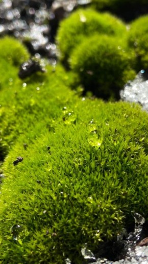 ������� ������ � ��������: ��� ��� ����� ����� ����� ���������� � �����������