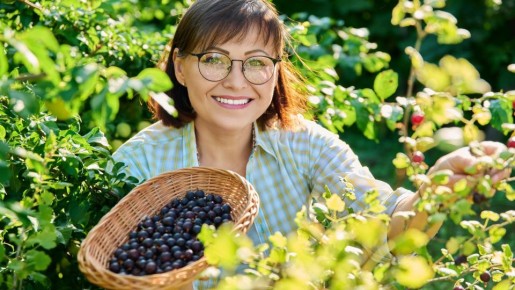 ��������� ����� ������ ������� �������: ������� ��� ���� ����� ����� ��������