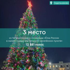 Подведены итоги Всероссийского конкурса «Ёлки России»: Омская область вошла в число призёров