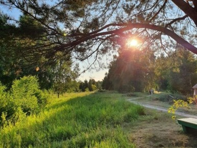 ���� 300-����� ����� ����� ����� ����������� ������ � ������� ���������