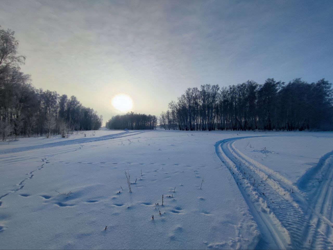 В ОМВД России по Крутинскому району обратился охотинспектор и сообщил, что в километре от д. Салтаим обнаружил место забоя, предположительно, дикого животного