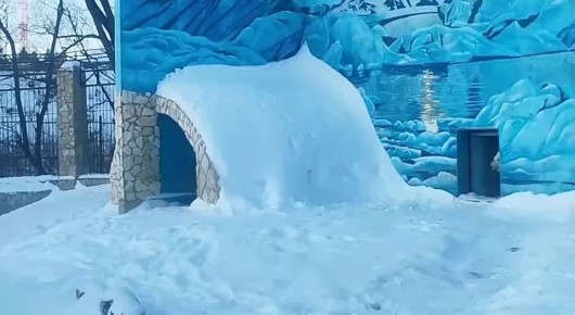 ����� � ��������������� �������� ������������ ��������� �����