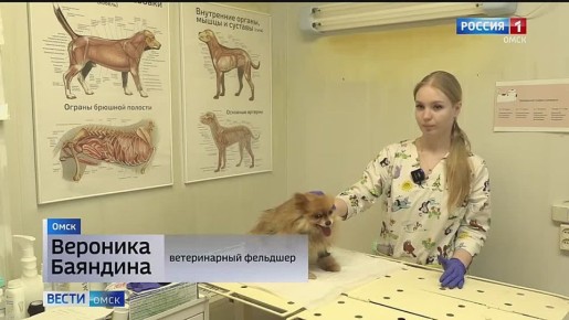 ������ ��������� ������ ����� ������� ����������� ����� ������ ����