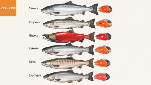 ������� ���� �� ����������� �����: ����� ������� ��� ����������� ��������?