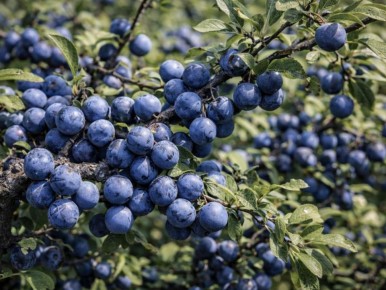 ����: ��� ��������� �������� ���� ���� � ��� ����� � ��� �����