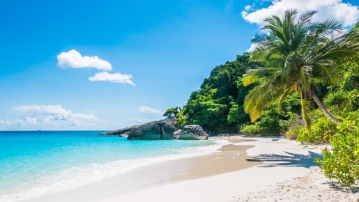 ����� ������� ��������� ���� �� ����-2026: ������ ��� �������