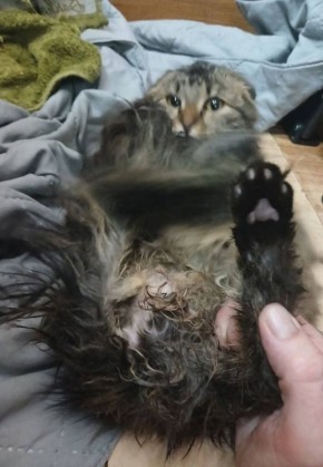 ��� ������ ������ ������, ��������� � �� �� ����� ������