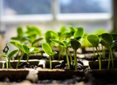 ��� ��������� ������������� �������: ������� ��� ������ �������