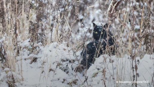 �������� �� ��������� ������ � ���� ���������� ������� ������ ������� � � ������� ������� � ���� ��������� ����� ��������� ������ ����� ����������� � �����