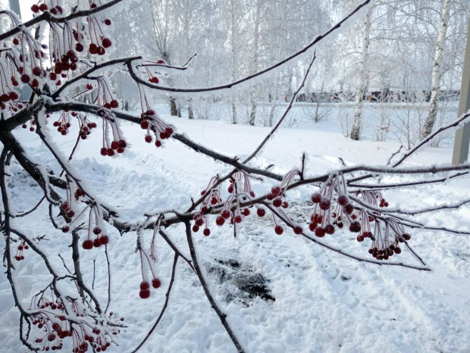 ������ ������: ��������� �����, �������� �������� �� ������ ����������