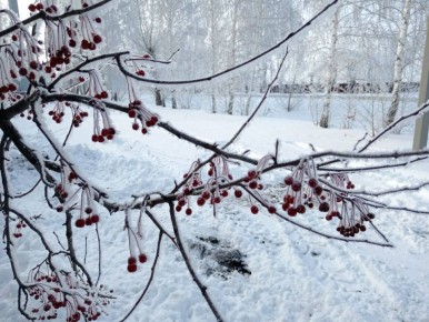 ������ ������: ��������� �����, �������� �������� �� ������ ����������