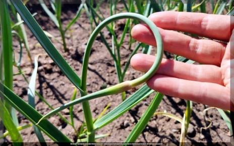 ������ � ����: ������ �� ����� � ��������� �������