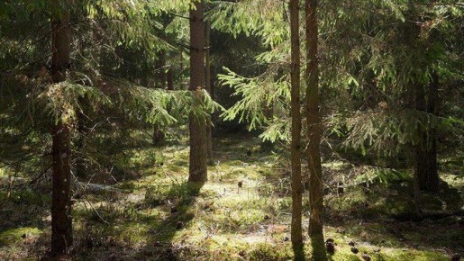 ����� �������� ���������� � ���