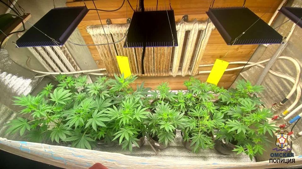 ���������� ��� ����������, ��� 39-������ ������� ���������� ������������ ������� � ������ ���� � ��� ������