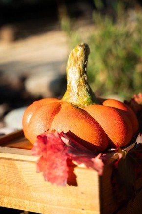 ��� ������� ��������� �������� ����� ��� �������� ������