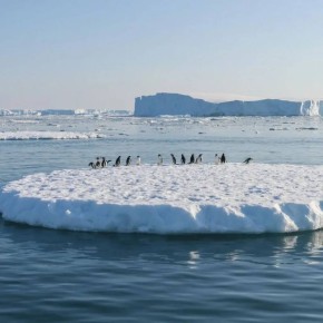 ������ ����, ����!. 20 ������: ����� ������� ��������, ��� �������� � ������ � ����? ���� ���������� ����