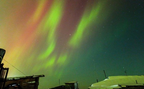 � ������ ������� ������� ���� �������� ������