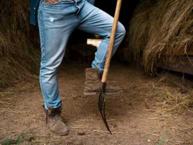 ������������� �������: �������� � �������� ��� ���������