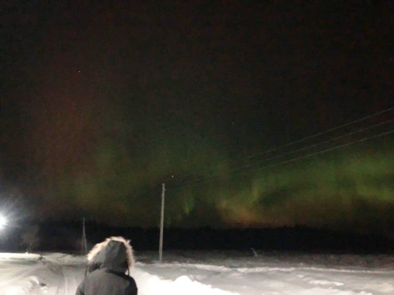 Завораживающе сияние вновь в небе над Омской областью!